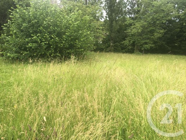 terrain à vendre - 500.0 m2 - CHATILLON LA PALUD - 01 - RHONE-ALPES - Century 21 Déclic Immobilier terrain à vendre - 500.0 m2 - CHATILLON LA PALUD - 01 - RHONE-ALPES - Century 21 Déclic Immobilier
