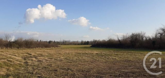 terrain - ST MAURICE DE GOURDANS - 01