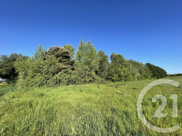 maison à vendre - 8 pièces - 220.0 m2 - FARAMANS - 01 - RHONE-ALPES - Century 21 Déclic Immobilier