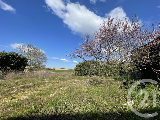 terrain - VILLIEU LOYES MOLLON - 01