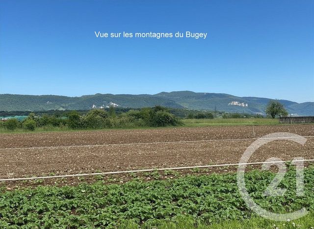 terrain à vendre - 1492.0 m2 - CHAZEY SUR AIN - 01 - RHONE-ALPES - Century 21 Déclic Immobilier